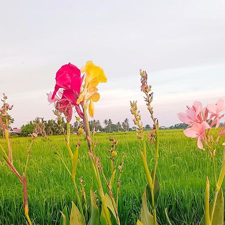 Kurau Inn Farmstay Kuala Kurau Exteriér fotografie