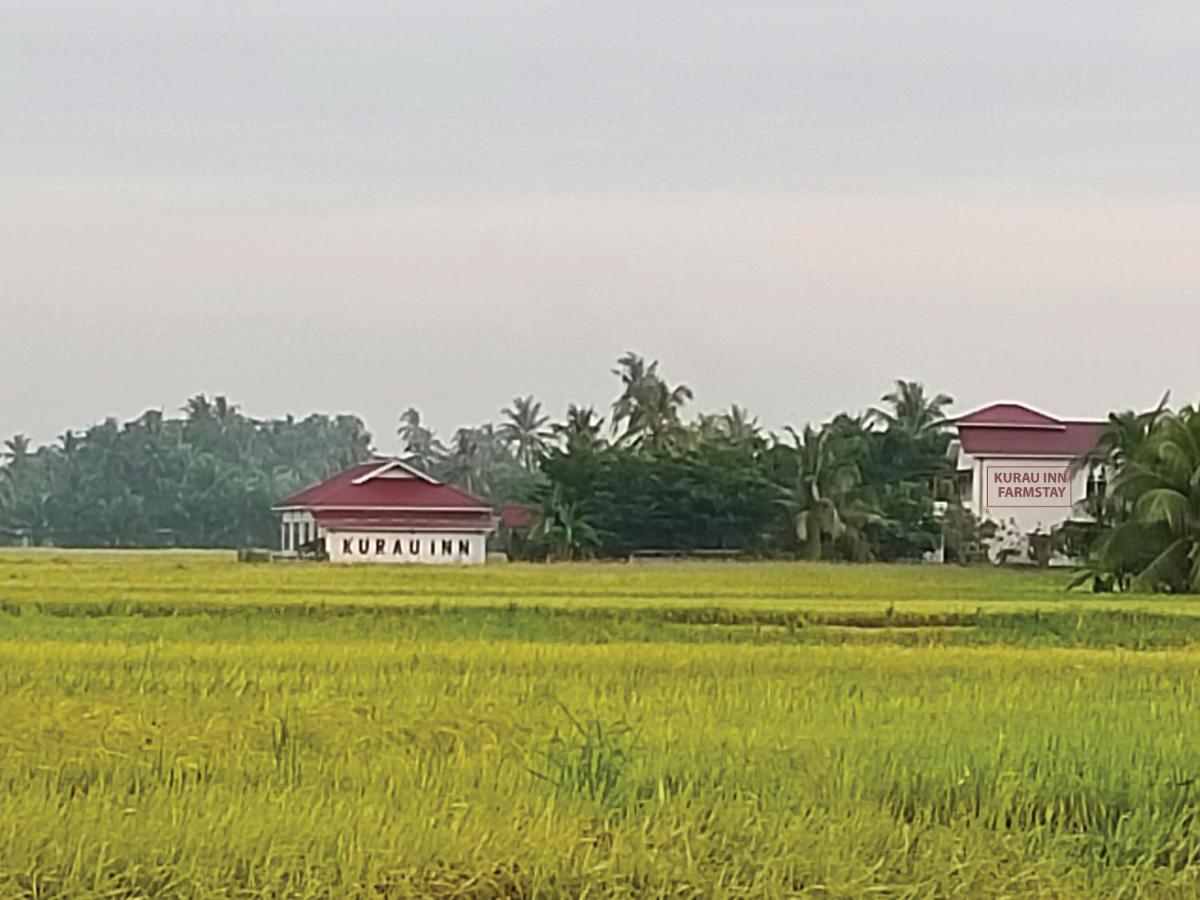 Kurau Inn Farmstay Kuala Kurau Exteriér fotografie