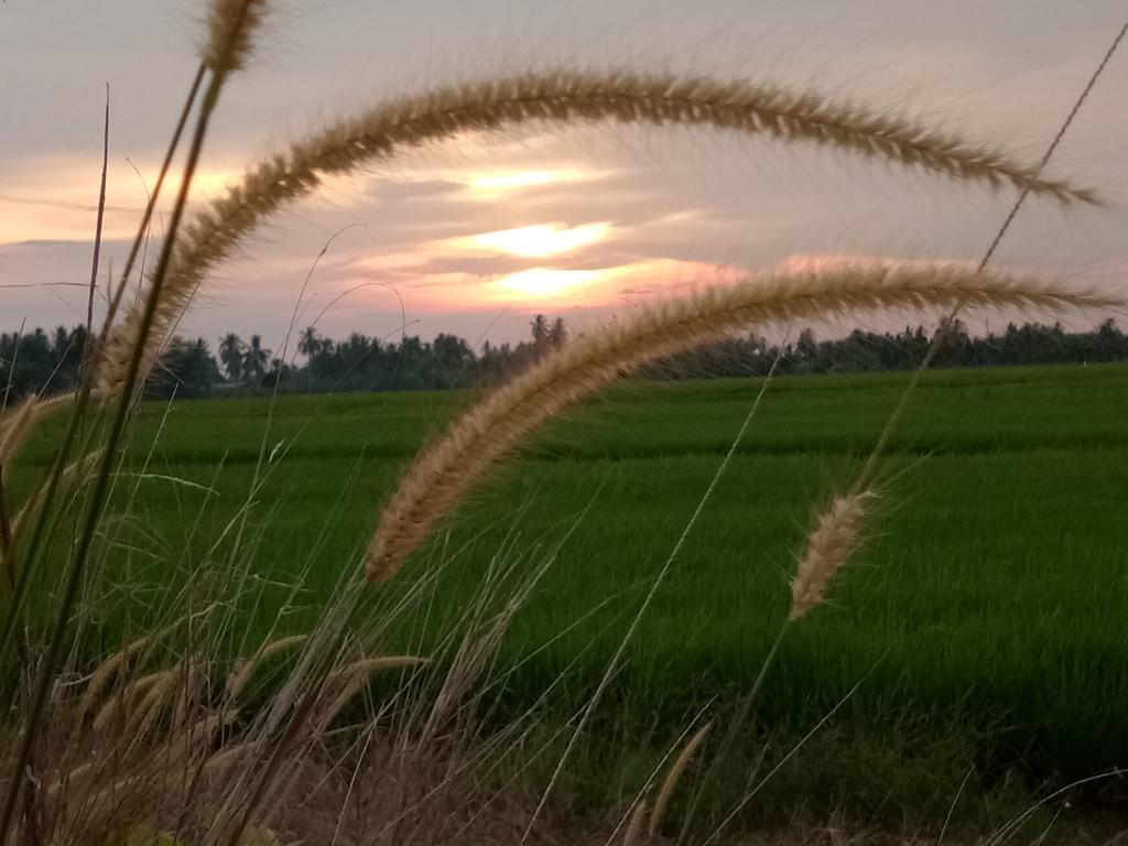 Kurau Inn Farmstay Kuala Kurau Exteriér fotografie